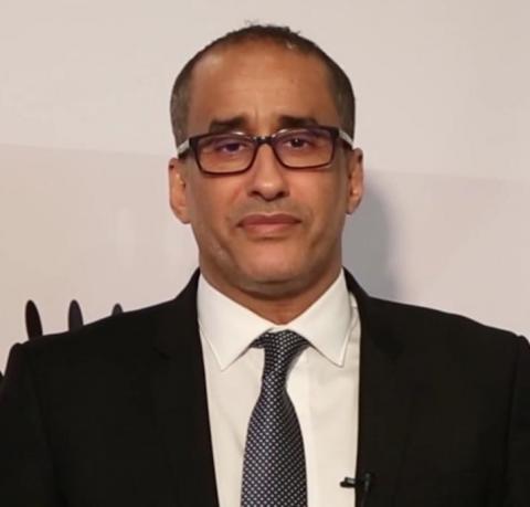 الخبير الدولي/ محمد ولد المنير