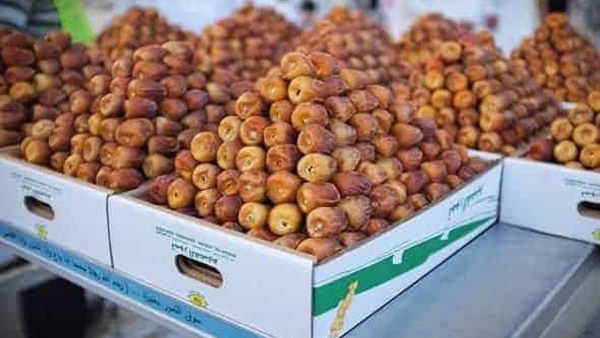تمور سعودية (أرشيف)