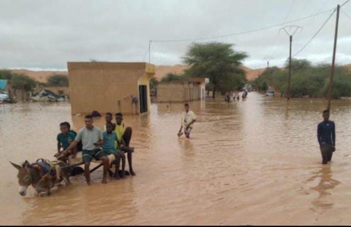 العصابة.. سيول وأمطار غزيرة تغمر أحياء كنكوصة وتهدد السكان